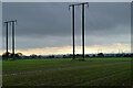 Power lines from High Volts Farm in Dalton Piercy