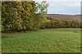 Field below Portfield Road in SP5 4AW