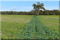 Straight bridleway across field near Flamstone Farm in SP5 4DN