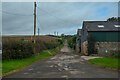 Berwick-Upon-Tweed : Country Lane in TD15 1FB