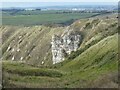 Chalk cliff west of White Nothe in DT2 8NJ