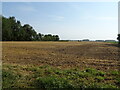 Field off Hall Road, Walpole Highway in PE14 7QE