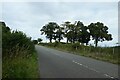 Road to Halkyn services in Sir y Fflint - Flintshire