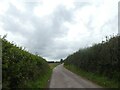 Road to Sixpenny Gate and Stafford Farm in DT2 8PD