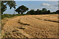 Harvested field bear Claydon Farm in IP6 0EL