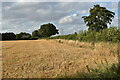 Harvested field, Church Lane, Claydon in IP6 0EJ