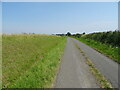 Burnt Lane towards Wiggenhall St Mary Magdalen in PE34 3BB