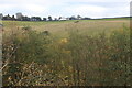 Hillside below Pen-y-garreg Farm in CF81 9GF