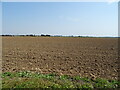 Field beside Watlington Road in PE34 3HH