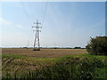 Field and pylons, Shepherd's Gate in PE34 4RP
