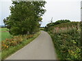 Minor road near to Balmore in Nairn