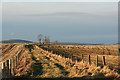 Old military road nor'east of Backmuir in AB55 5PD