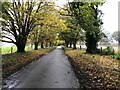 The lane to Brockhall in Brockhall