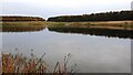 The lake at Queen Elizabeth II Country Park in NE63 9YF