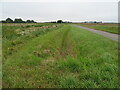 Drain beside National Cycle Route 1 in PE20 2DF