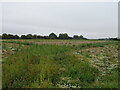 Field near Bank House in PE20 2DF