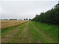 Farm track beside Middle Marsh Road in PE12 8HD