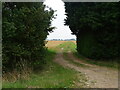 Farm track off Sluice Road in PE12 8BE