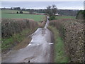 Lane to Medley Park cottages in Culmington