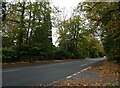 Looking from Blackdown Avenue into Old Woking Road in GU22 8NA