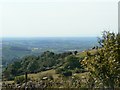View from Mendips near Priddy looking West in BA5 1HU