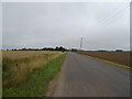 National Cycle Route 1, Holbeach St Marks in PE12 8EY