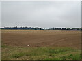 Flat field off Lapwater Lane in PE12 8HE