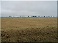 Stubble field near Middle Marsh Farm in PE12 8DU