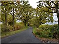 Unnamed road between Ockeridge and Oakall Green in WR6 6YL