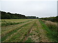 Farm track (footpath) beside the Catchwater Drain in Revesby