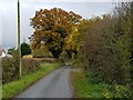 Road by Birchall Green Farm in WR2 6NU