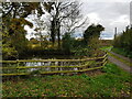 Pond on Oldhill, Sinton Green in WR2 6NU