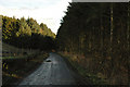 Unclassified road through small area of forest near Meadowhead in AB54 6HF