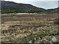 Moor and woodland below Clogwyn Cigfran in LL24 0EH