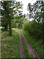 Bridleway heading south in ST17 0NN