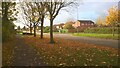Hodgson Avenue, Werrington, in the autumn in PE4 5DB