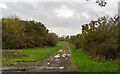 Farm track, off Little Warley Hall Lane in RM14 3PD