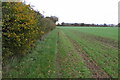 Three Shires Way footpath in NN10 0SQ