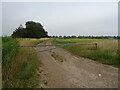 Gated farm track off Hurn Road in PE12 8JW
