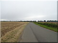 Hurn Road towards Holbeach in PE12 8JW