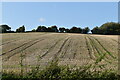 Arable field by Valley Rd in DA3 8LZ