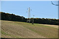 Pylon near Hill Barn Farm in DA3 8LZ