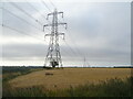 Cereal crop and power lines in PE12 6JZ