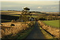 Road past Waulkmill farm in AB51 8XD