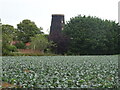 Crop field towards disused mill, Butterwick in PE22 0JD