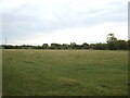 Grazing off Southfields in PE22 9LH