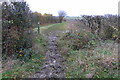 Muddy bridleway to the Rushden Road in Newton Bromswold