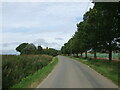 Minor road towards Leverton Highgate in PE22 0AA