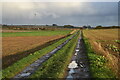 Footpath south of Langford, after a heavy shower in SG18 9SJ