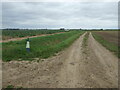 Farm track beside drain, Tamworth Green in PE22 0LN